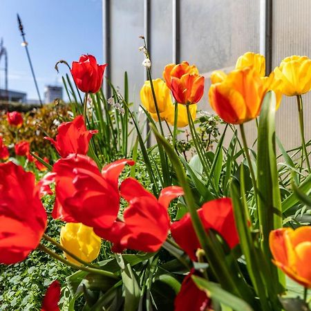 Ferienwohnung Trixi Sexau Exteriör bild